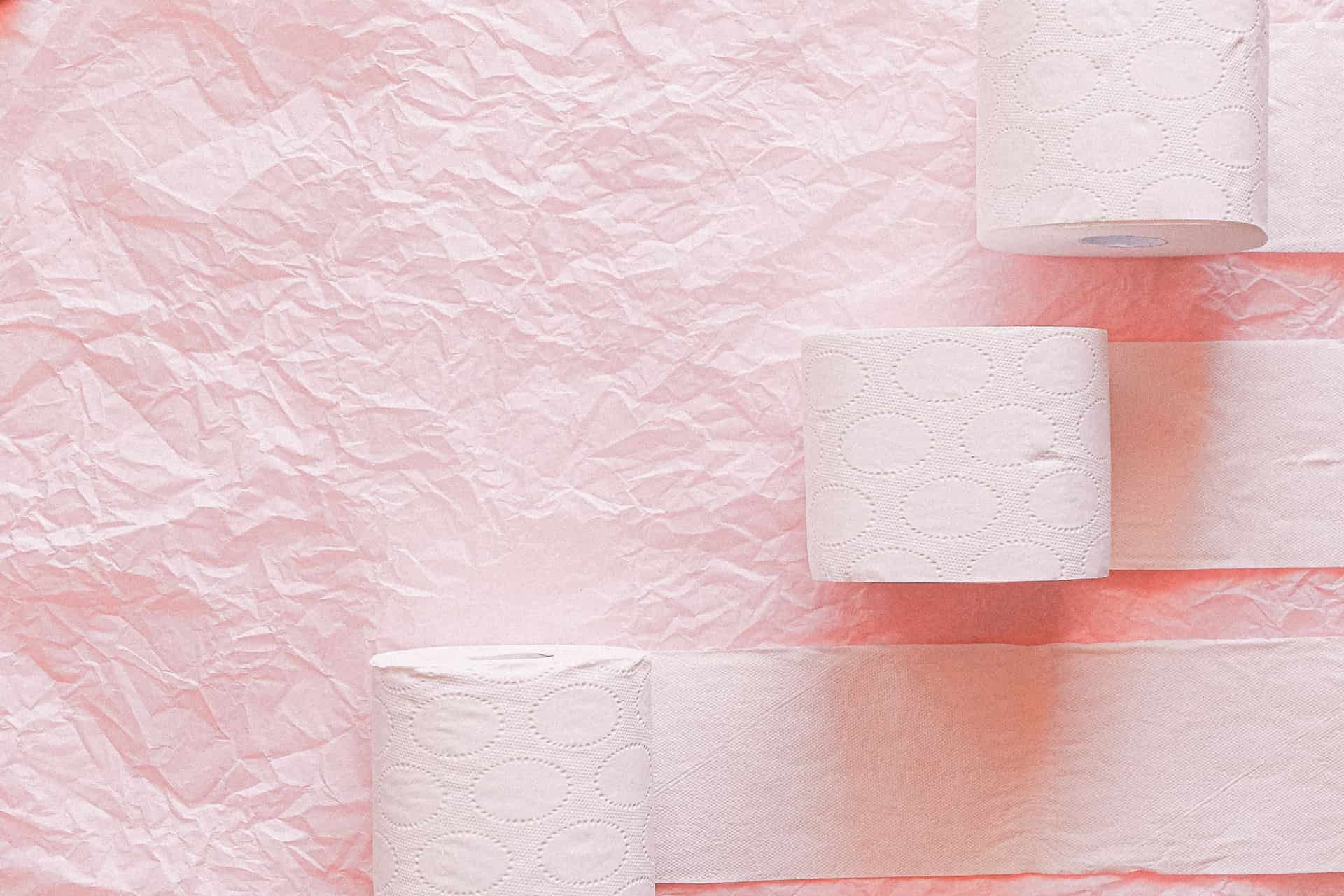 Roll of toilet paper on a bathroom shelf